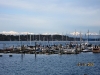 Boston Harbor Marina with Olympic Mountains Background