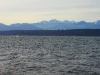 Near sunset view from Lofall of the Olympic Mountains & Hood Canal in Winter