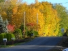 Beautiful view of Fall Maples in Edgewatrer Estates