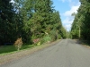 View of Seminole Road in Indian Hills Estates, Poulsbo