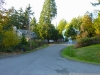 Street view in Miller Bay Estates