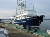 Guest dock at Boston Harbor Marina can accommodate large vessels