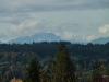Olympic Mountain view in Viking Heights
